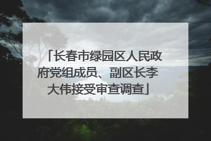 长春市绿园区人民政府党组成员、副区长李大伟接受审查调查