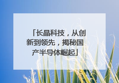 长晶科技，从创新到领先，揭秘国产半导体崛起