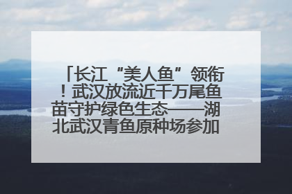 长江“美人鱼”领衔！武汉放流近千万尾鱼苗守护绿色生态——湖北武汉青鱼原种场参加2025年“全国放鱼日”增殖放流活动