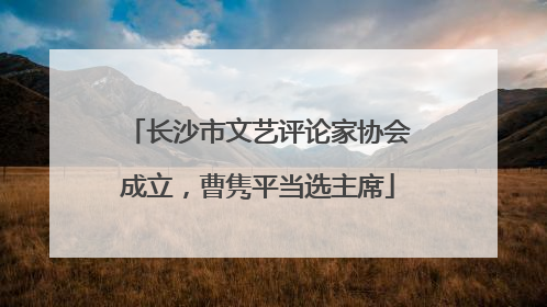 长沙市文艺评论家协会成立，曹隽平当选主席