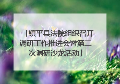 镇平县法院组织召开调研工作推进会暨第二次调研沙龙活动