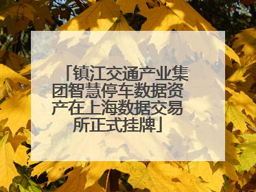 镇江交通产业集团智慧停车数据资产在上海数据交易所正式挂牌