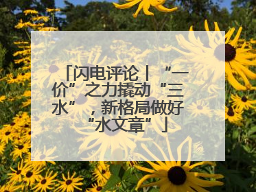 闪电评论丨“一价”之力撬动“三水”，新格局做好“水文章”