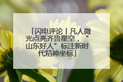 闪电评论丨凡人微光点亮齐鲁星空，“山东好人”标注新时代精神坐标
