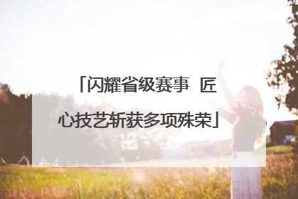 闪耀省级赛事  匠心技艺斩获多项殊荣