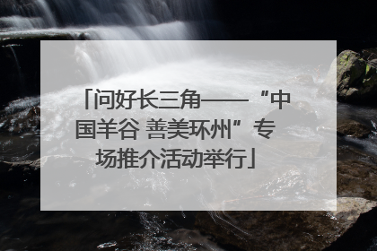 问好长三角——“中国羊谷 善美环州”专场推介活动举行