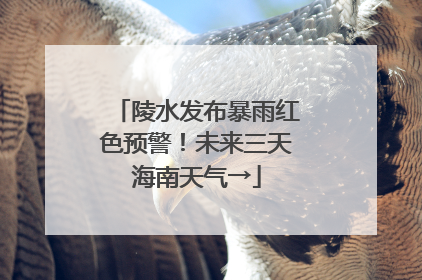 陵水发布暴雨红色预警！未来三天海南天气→