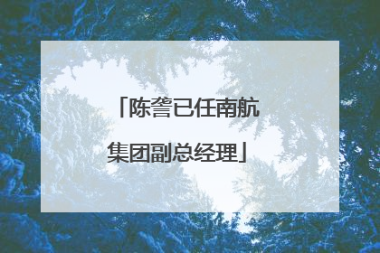 陈詟已任南航集团副总经理