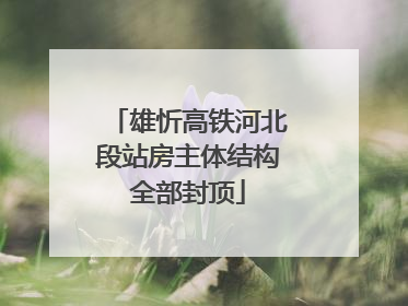 雄忻高铁河北段站房主体结构全部封顶