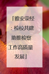 雅安荥经：检校共建 助推检察工作高质量发展