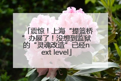 震惊！上海“提篮桥”办展了！没想到监狱的“灵魂改造”已经next level