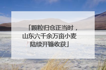颗粒归仓正当时，山东六千余万亩小麦陆续开镰收获