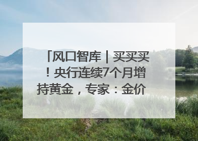 风口智库｜买买买！央行连续7个月增持黄金，专家：金价或仍易涨难跌
