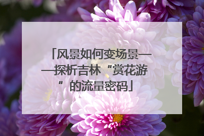 风景如何变场景——探析吉林“赏花游”的流量密码
