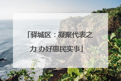 驿城区：凝聚代表之力 办好惠民实事