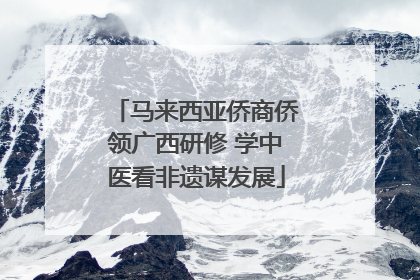 马来西亚侨商侨领广西研修 学中医看非遗谋发展