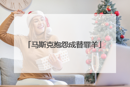 马斯克抱怨成替罪羊