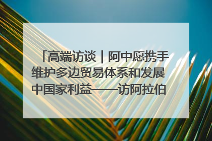 高端访谈｜阿中愿携手维护多边贸易体系和发展中国家利益——访阿拉伯议会议长亚马希