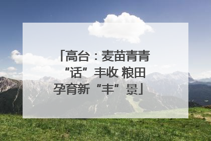 高台：麦苗青青“话”丰收 粮田孕育新“丰”景