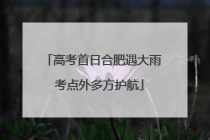 高考首日合肥遇大雨 考点外多方护航