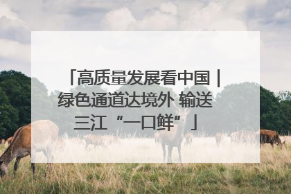 高质量发展看中国｜绿色通道达境外 输送三江“一口鲜”