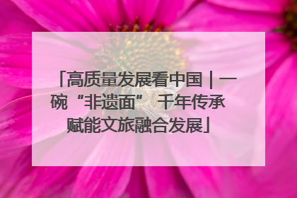 高质量发展看中国｜一碗“非遗面” 千年传承赋能文旅融合发展