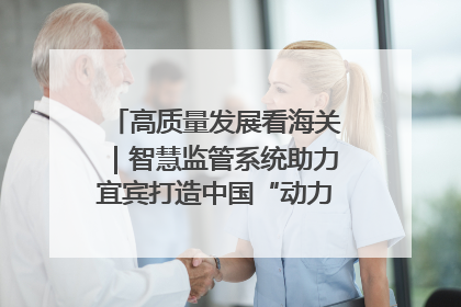 高质量发展看海关｜智慧监管系统助力宜宾打造中国“动力电池之都”