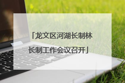 龙文区河湖长制林长制工作会议召开