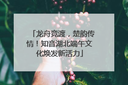 龙舟竞渡，楚韵传情！知音湖北端午文化焕发新活力