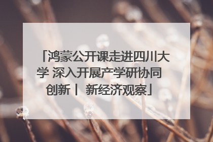 鸿蒙公开课走进四川大学 深入开展产学研协同创新丨 新经济观察
