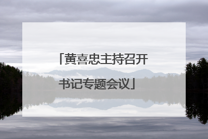黄喜忠主持召开书记专题会议