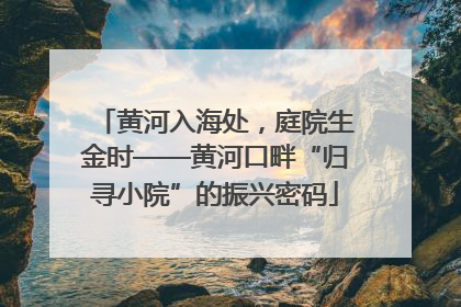 黄河入海处，庭院生金时——黄河口畔“归寻小院”的振兴密码