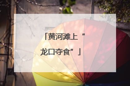 黄河滩上“龙口夺食”