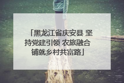 黑龙江省庆安县 坚持党建引领 农旅融合铺就乡村共富路