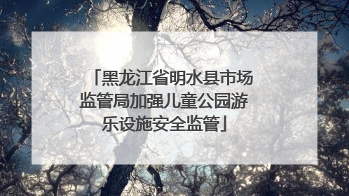 黑龙江省明水县市场监管局加强儿童公园游乐设施安全监管