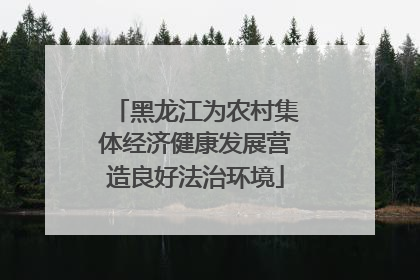 黑龙江为农村集体经济健康发展营造良好法治环境