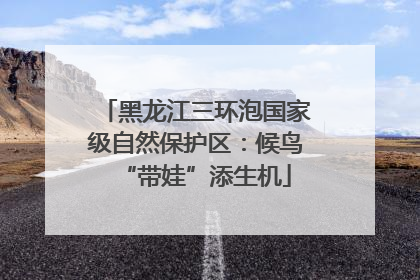 黑龙江三环泡国家级自然保护区：候鸟“带娃”添生机