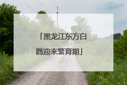 黑龙江东方白鹳迎来繁育期
