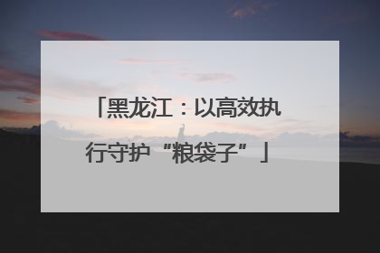 黑龙江：以高效执行守护“粮袋子”