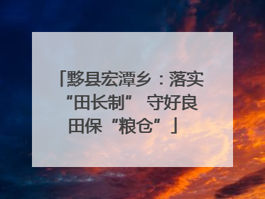 黟县宏潭乡：落实“田长制” 守好良田保“粮仓”
