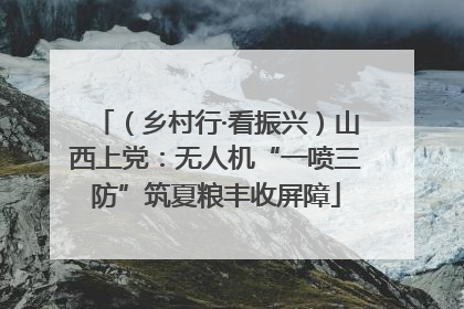 （乡村行·看振兴）山西上党：无人机“一喷三防”筑夏粮丰收屏障
