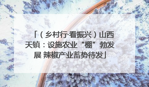 （乡村行·看振兴）山西天镇：设施农业“棚”勃发展 辣椒产业蓄势待发