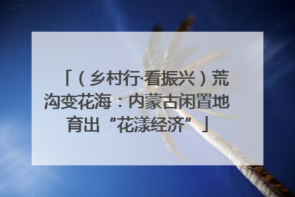 （乡村行·看振兴）荒沟变花海：内蒙古闲置地育出“花漾经济”