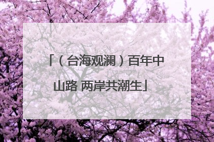 （台海观澜）百年中山路 两岸共潮生
