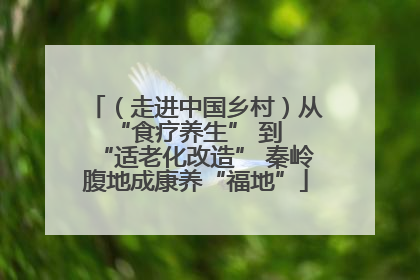 （走进中国乡村）从 “食疗养生” 到 “适老化改造” 秦岭腹地成康养“福地”
