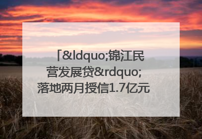 “锦江民营发展贷”落地两月授信1.7亿元，惠及118家民企