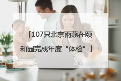 107只北京雨燕在颐和园完成年度“体检”
