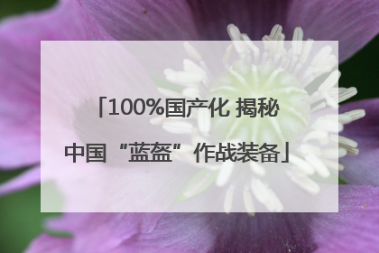 100%国产化 揭秘中国“蓝盔”作战装备