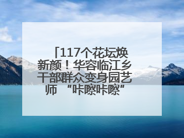 117个花坛焕新颜！华容临江乡干部群众变身园艺师 “咔嚓咔嚓”省下数万元