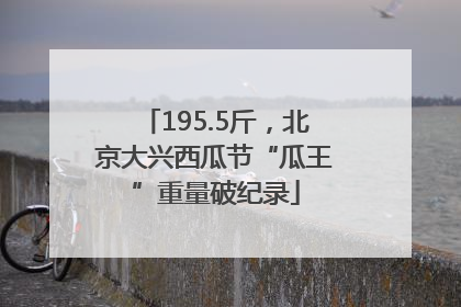 195.5斤，北京大兴西瓜节“瓜王”重量破纪录